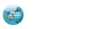 THRUSH BLUBIRDZ ADVISORY